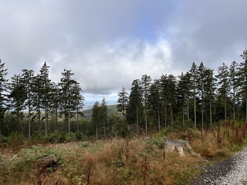 Großen Feldberg