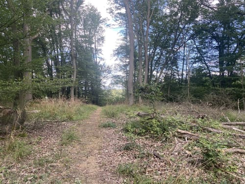 Wanderweg D2 (Datzeroth)