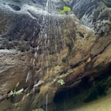 Sand Cave and White Rocks via Ewing Trail, Virginia - 1,209 Reviews ...