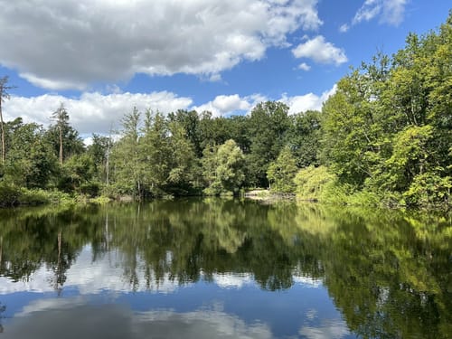 Enkheimer Ried