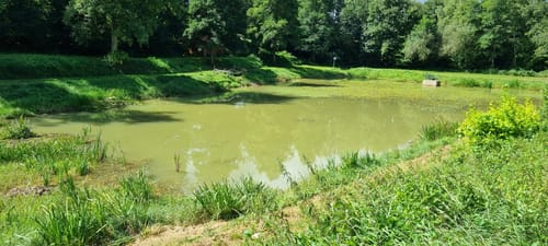 Rund um Althornbach