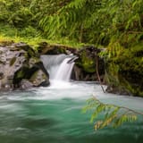 Kalama Falls Trail, Washington - 700 Reviews, Map | AllTrails