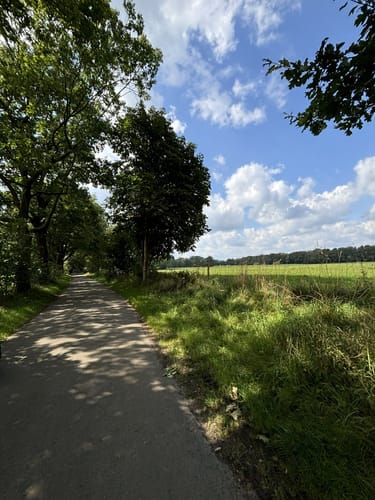 Wohldorferwald Rundweg