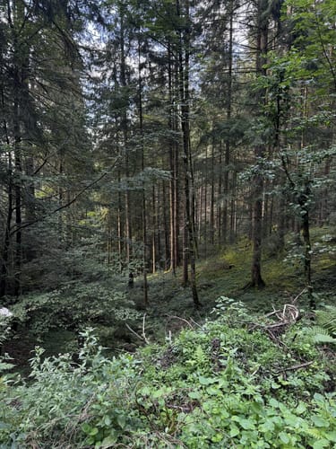 St. Roman Rundweg 18