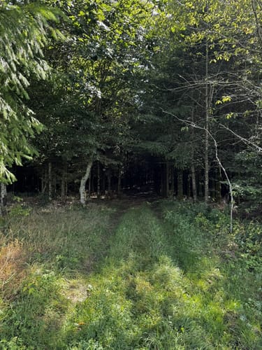 St. Roman Rundweg 18