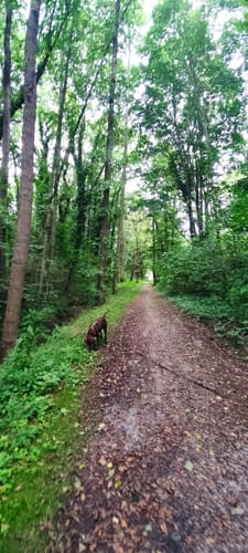 Hermannseck-Lodersleben