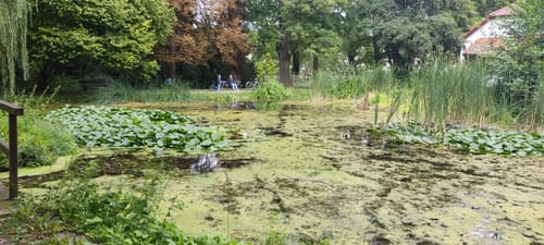 Hermannseck-Lodersleben