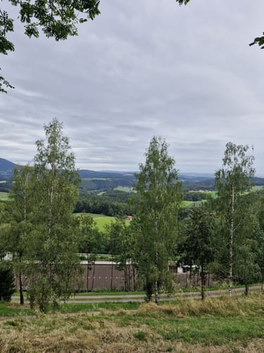 Muckenthal: Feuersalamander-Tour