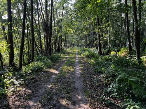 Küstenmoor Rundtour