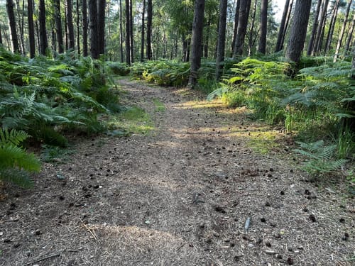 Küstenmoor Rundtour