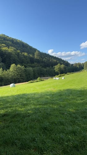Im Ellenbachtal