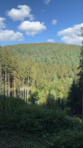Im Ellenbachtal