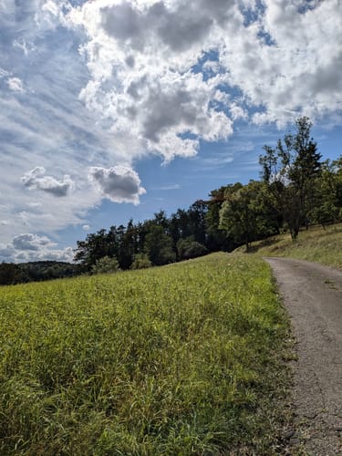 Bad Mergentheim Rundwanderweg