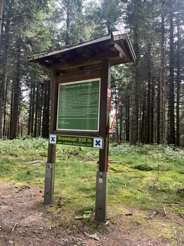 Von Schmücke auf den Schneekopf