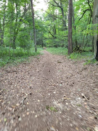 Klobichsee - Rundweg