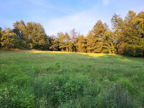 Klobichsee - Rundweg