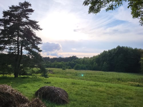 Klobichsee - Rundweg