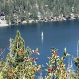 Historic Donner Pass Trail, California - 917 Reviews, Map | AllTrails