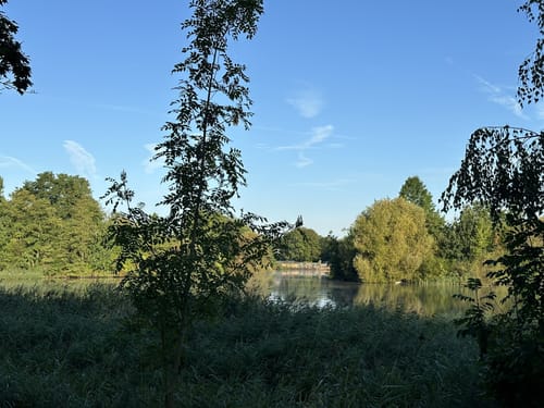 Um den Stadtpark Wieseckaue