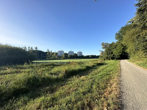 Um den Stadtpark Wieseckaue