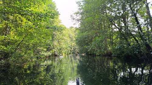 Paddeltour: Babke - Käbelicksee