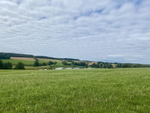 Bucher Stausee