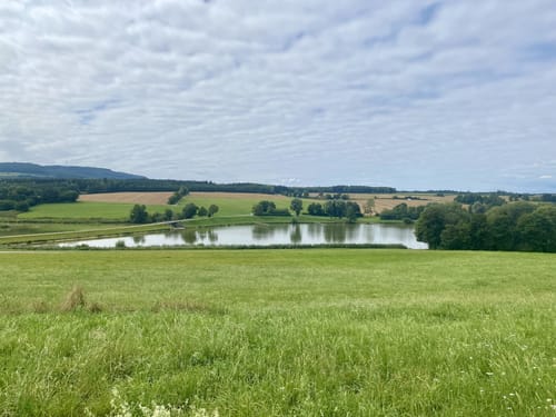 Bucher Stausee