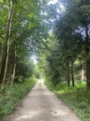 Bucher Stausee
