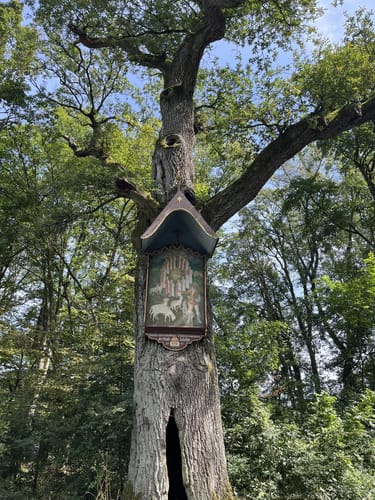 Iphöfer Kronsberg und Kalb