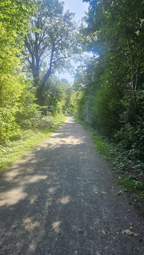 Sambatrasse