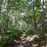 Sand Cave and White Rocks via Ewing Trail, Virginia - 1,223 Reviews ...