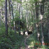 Sand Cave and White Rocks via Ewing Trail, Virginia - 1,239 Reviews ...