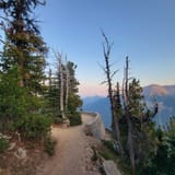 Sunrise Rim Trail, Washington - 992 Reviews, Map | AllTrails