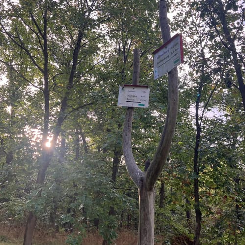 Obersdorf - Pufferberg - Kupferberg Rundwanderung