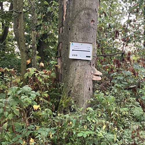 Obersdorf - Pufferberg - Kupferberg Rundwanderung