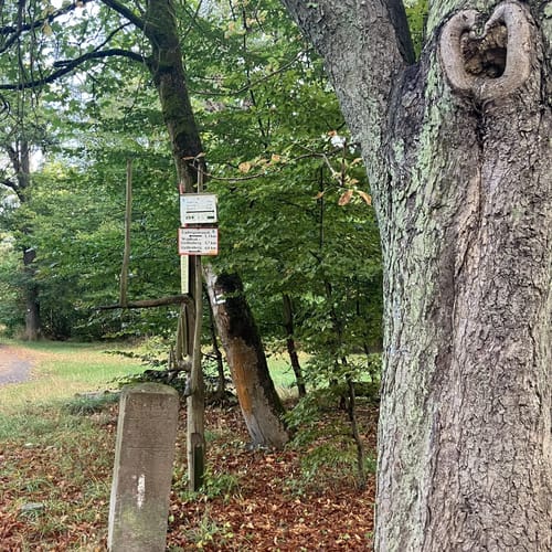 Obersdorf - Pufferberg - Kupferberg Rundwanderung