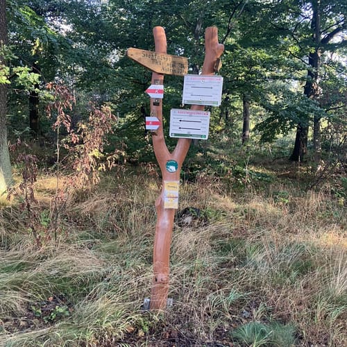 Obersdorf - Pufferberg - Kupferberg Rundwanderung