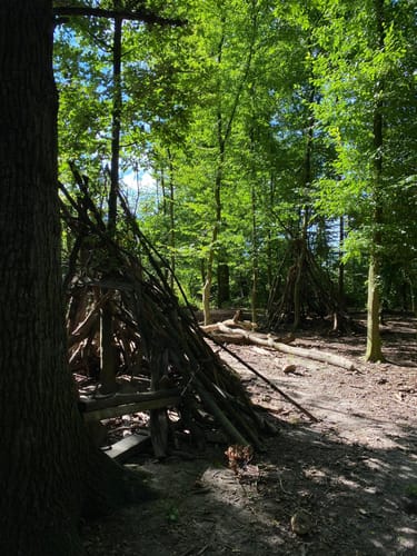Forstwald Rundweg A1