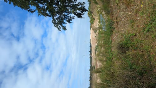 Tarbeker Moor und Muggesfelder See ab Muggesfelde