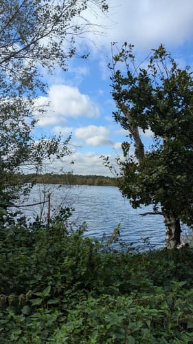 Tarbeker Moor und Muggesfelder See ab Muggesfelde
