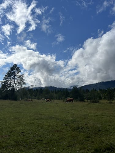Zustieg Oberes Soiernhaus von Krün über Fischbach-Alm