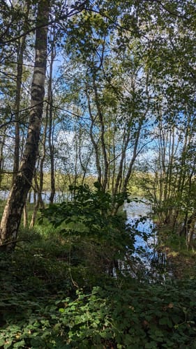 Tarbeker Moor und Muggesfelder See ab Muggesfelde