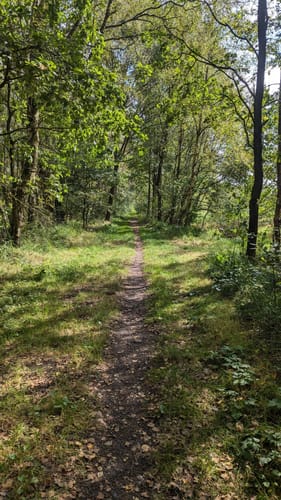 Tarbeker Moor und Muggesfelder See ab Muggesfelde