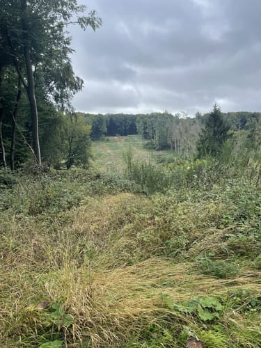 Wehdem Rundwanderweg A5