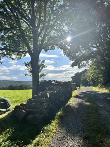 Kammwanderung auf historischem Weg durch pilzreiche Wälder