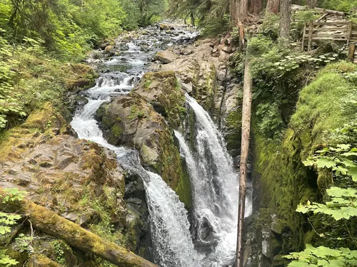 Lovers Lane B Loop and Sol Duc Nature Trail Loop Washington 1 766 Reviews Map AllTrails