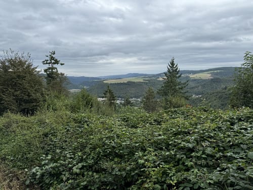 Rheinsteig Etappe 11: Niederlahnstein - Braubach