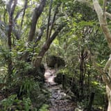 Jawbone Ridge Loop, Okinawa, Japan - 232 Reviews, Map | AllTrails