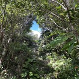 Jawbone Ridge Loop, Okinawa, Japan - 232 Reviews, Map | AllTrails