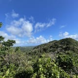 Jawbone Ridge Loop, Okinawa, Japan - 232 Reviews, Map | AllTrails